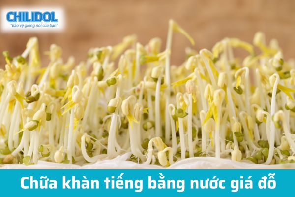 Chữa khàn tiếng bằng giá đỗ