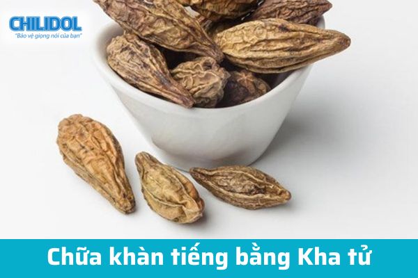 Chữa khàn tiếng bằng quả Kha tử