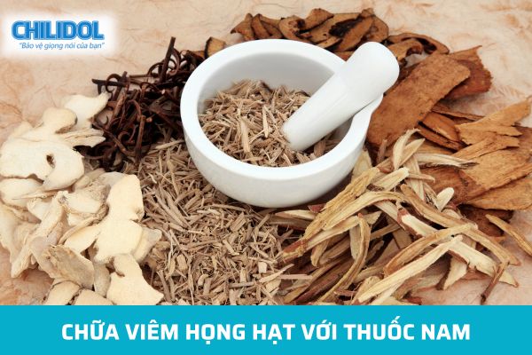 Chữa viêm họng hạt với thuốc nam