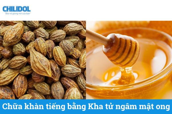 Chữa khàn tiếng bằng Kha tử ngâm mật ong