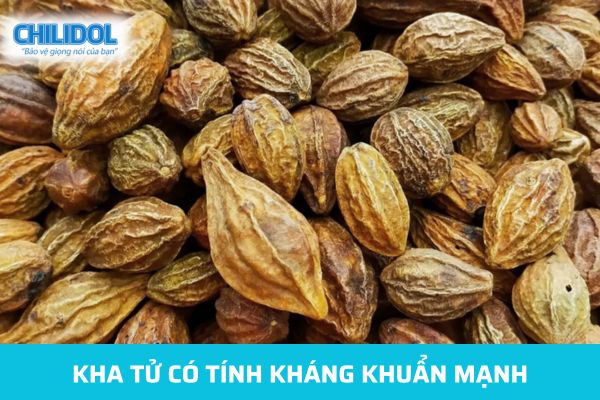 Kha tử- dược liệu có tính kháng khuẩn mạnh