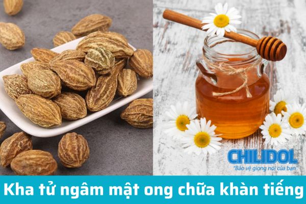 Kha tử ngâm mật ong chữa khàn tiếng