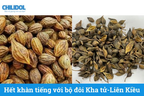 Hết khàn tiếng với bộ đôi Kha tử và Liên Kiều