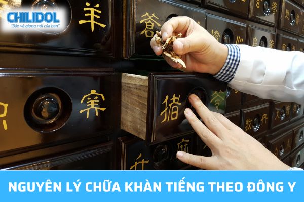 Cách chữa khàn tiếng theo Đông y