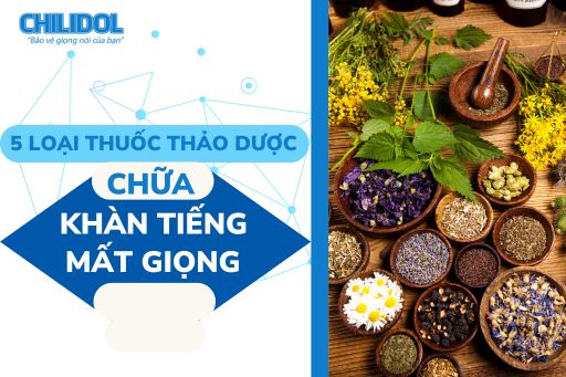 5 loại thuốc chữa khàn tiếng mất giọng từ thảo dược an toàn hiệu quả