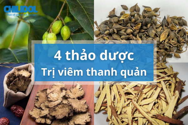 Bỏ kháng sinh đi, với 4 thảo dược này bạn sẽ đánh bay viêm thanh quản